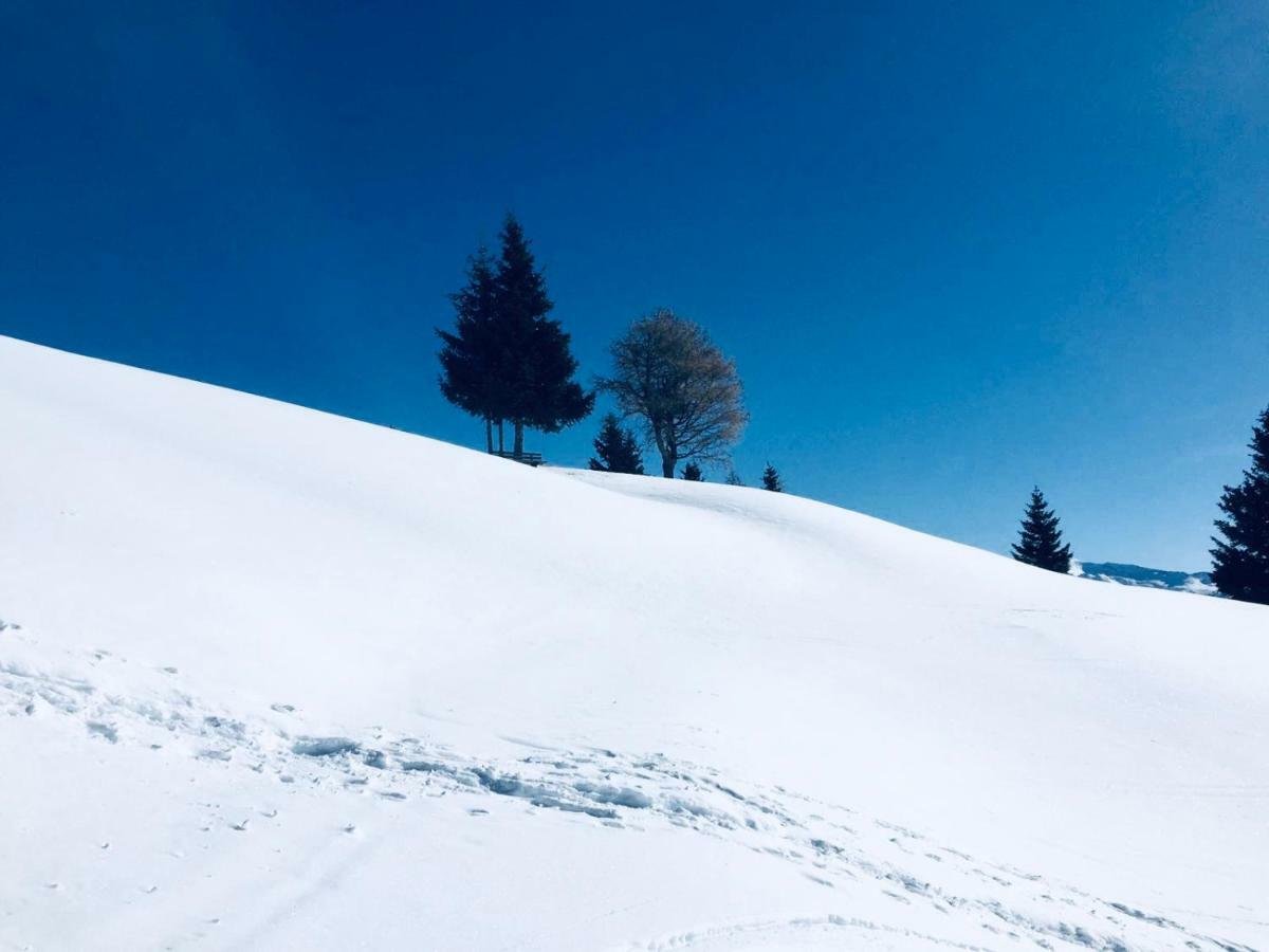 Apartament Haus Alpenrose Trins Zewnętrze zdjęcie